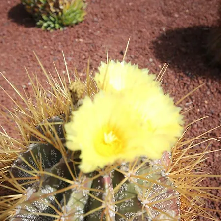 Villa Lanzarote